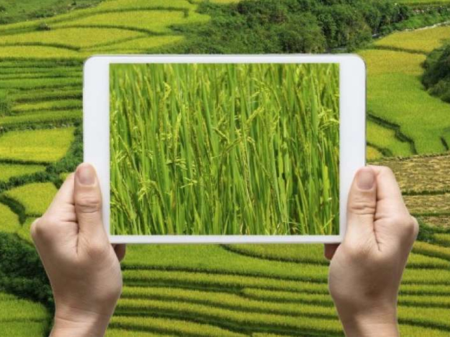 Revolutionize your skills as an innovation intermediary with our e-learning solutions!