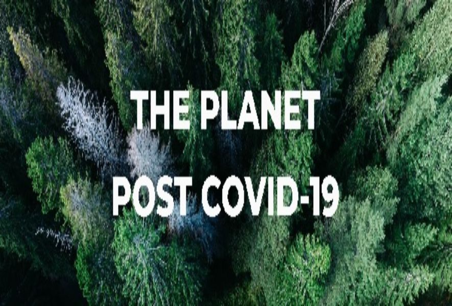 The planet is happier without us